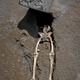 The skeleton of a victim of the eruption that destroyed Pompeii.